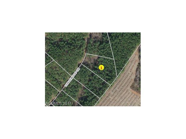 Lot 17 Chasewood Circle - Photo 1