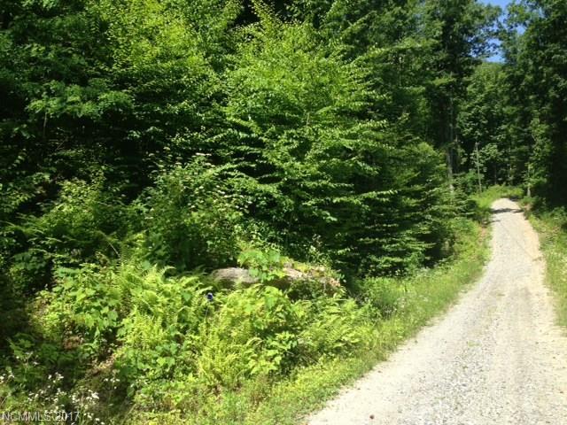 0000 Idylwild Lane - Photo 1
