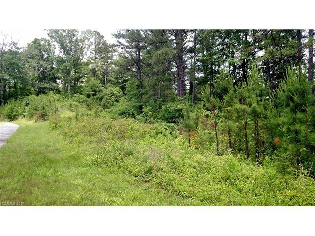 Lot 24 Crossing Parkway - Photo 1