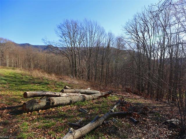 00 Squaw Ridge Road - Photo 1