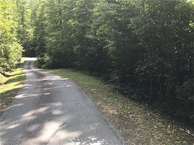 000 Woodland Trail - Photo 1