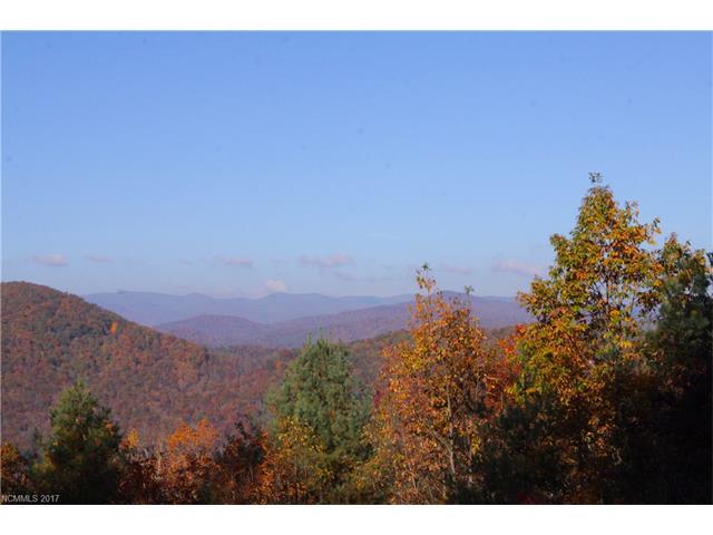 1819 Top Of The Mountain Road - Photo 1