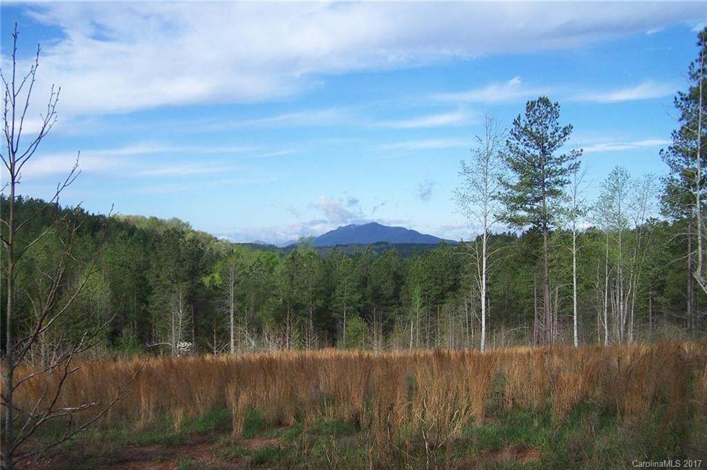 Tract 3 County Line Road - Photo 1