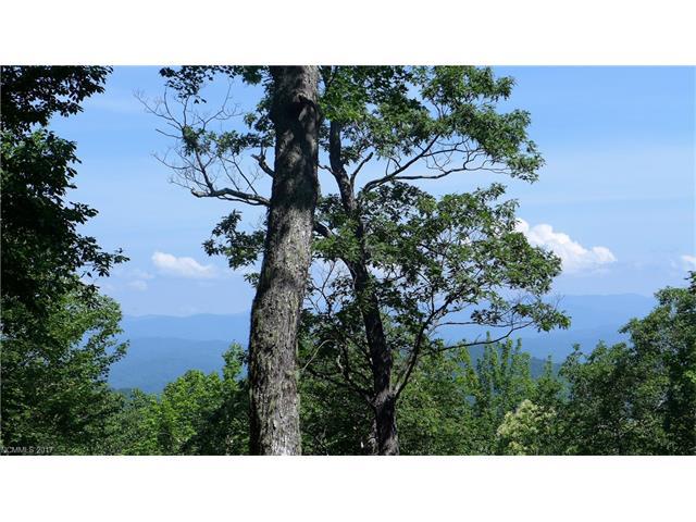 Tract 45B Indian Camp Mountain Road - Photo 1
