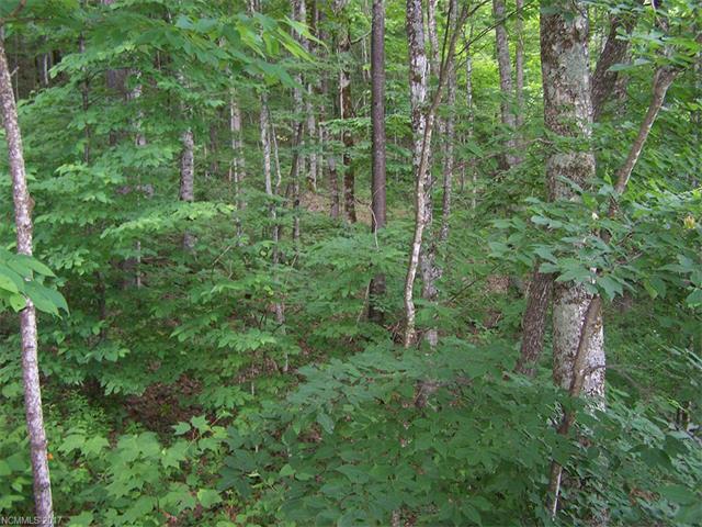 1796 Serenity Mountain Road - Photo 1