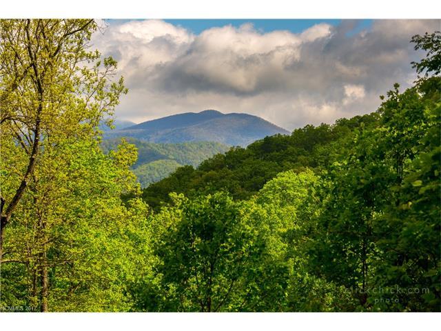 177 High Hickory Trail Trail - Photo 1