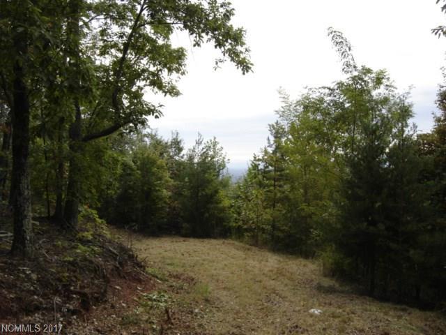 29 Mountain Lookout Drive - Photo 1