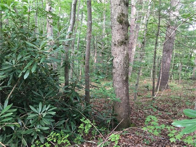 40 Nighthawk Knoll - Photo 1