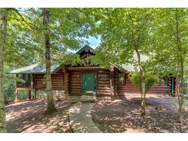 1244 Mountain Laurel Drive - Photo 1