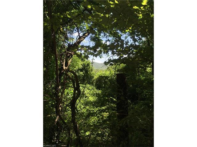 585 Old Toll Road - Photo 1