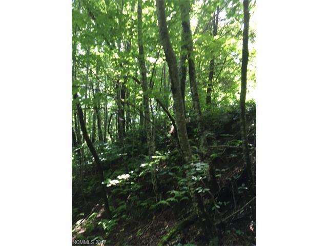 LOT 12 Killdevil Hill - Photo 1