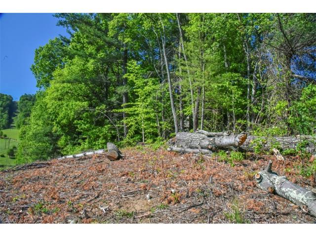 000 Barebridge Drive - Photo 1