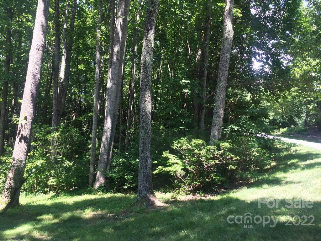 101 Little Cherokee Ridge - Photo 1