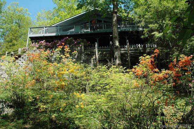493 South Toe River Road - Photo 1