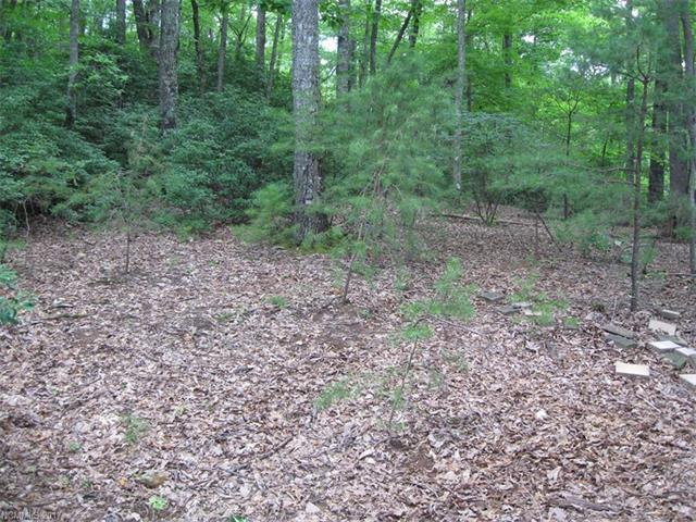 LOT 300 Thrush Court - Photo 1