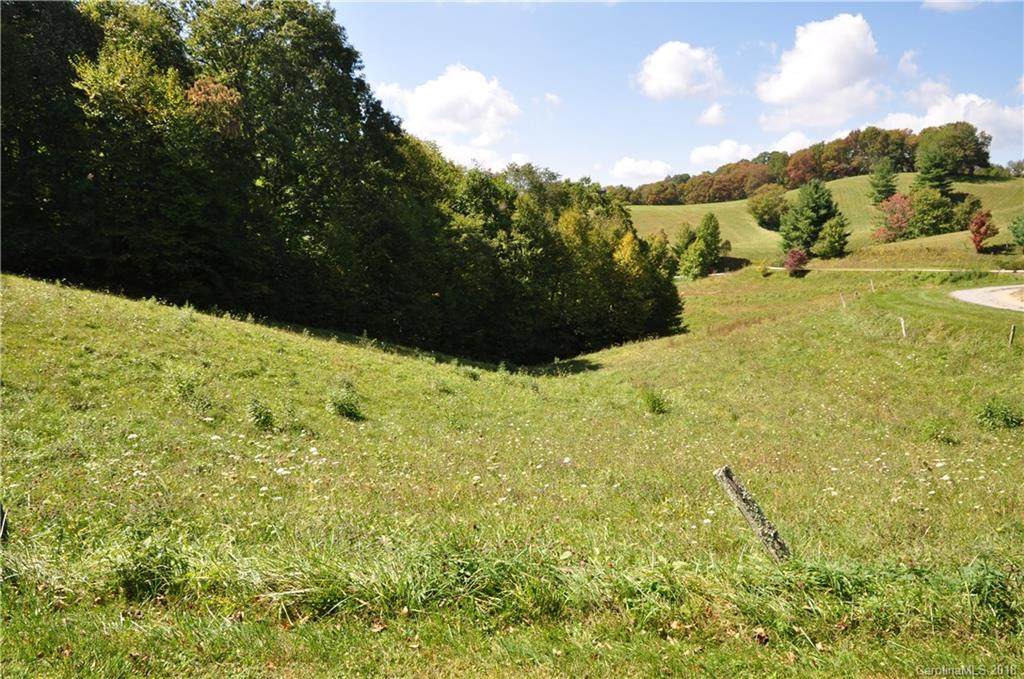00 Hickory Ridge Road - Photo 1