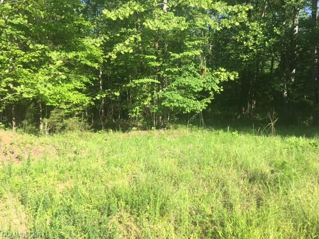 45 Lake Adger Parkway - Photo 1