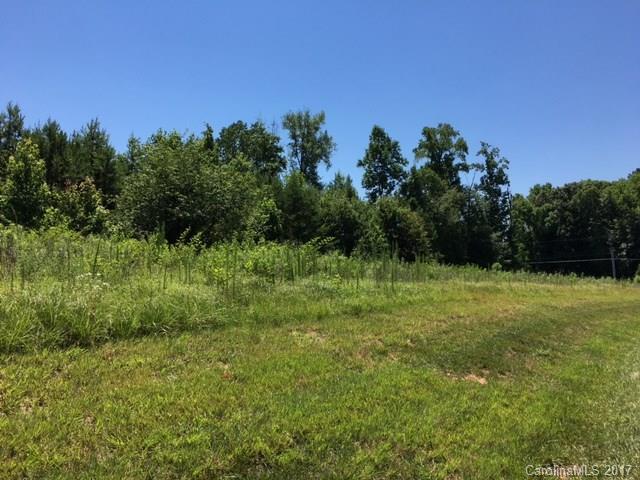 00 Mount Zion Church Road - Photo 1