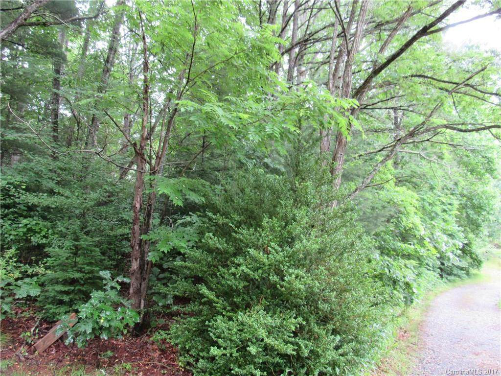 TBD Old Chip Yard Drive - Photo 1