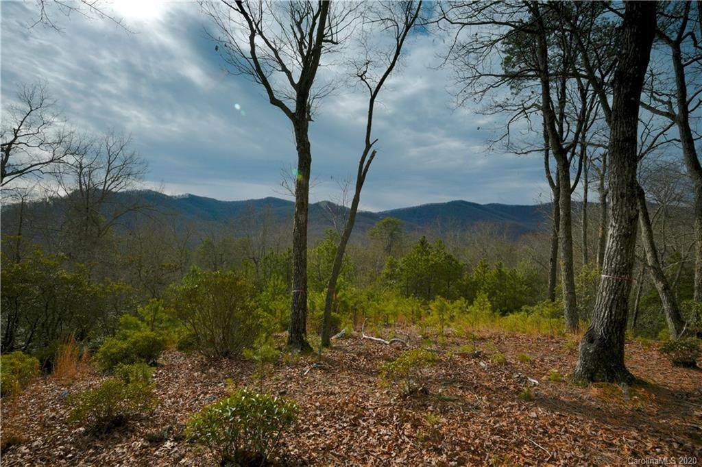 1906 Tree View Trail - Photo 1