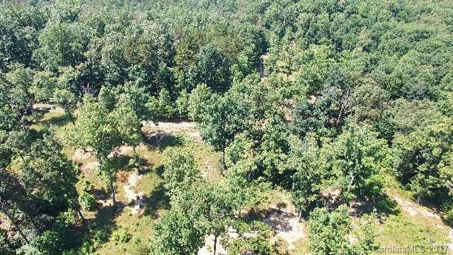 99999 Polk County Line Road - Photo 1