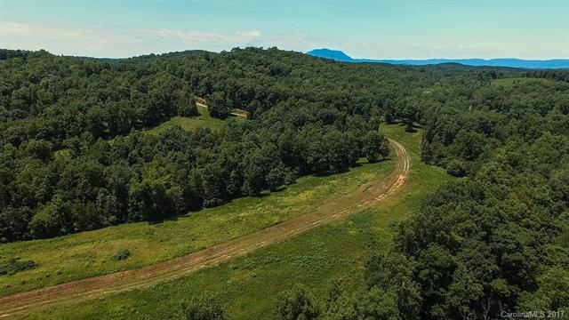 99999 Polk County Line Road - Photo 1