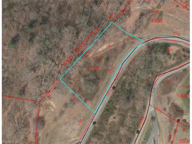 Lot 4 Wheatgrass Loop - Photo 1