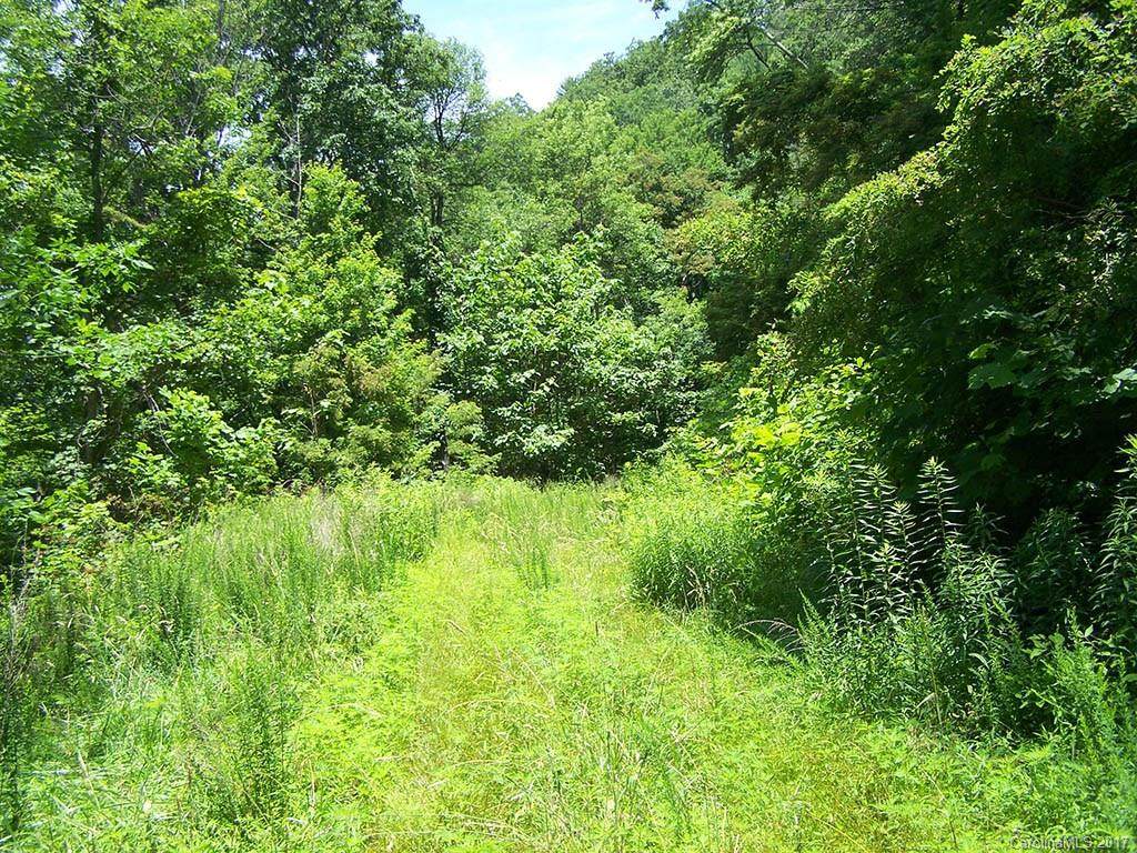 000 Rising Sun Road - Photo 1