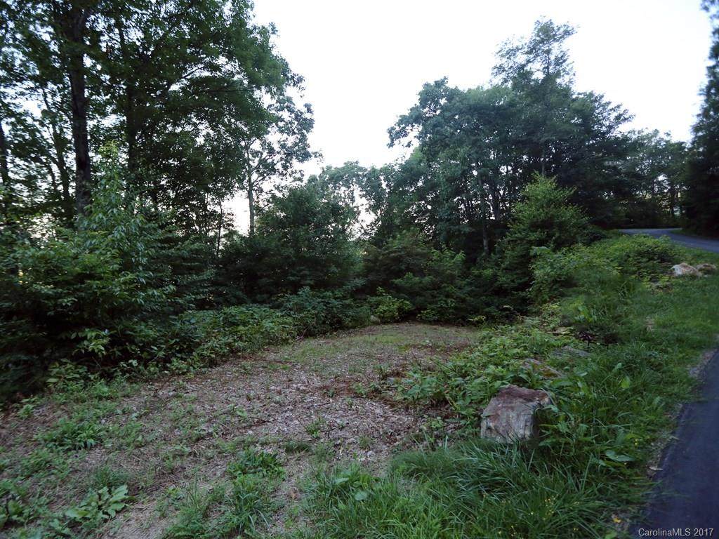 00 Running Deer Trail - Photo 1 00 Running Deer Trail - Photo 1