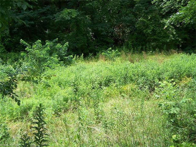 Lot 3 Dolan Road - Photo 1