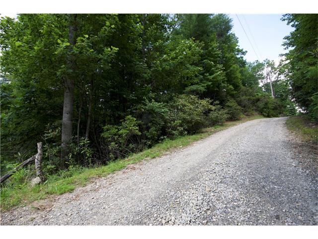 TBD Flat Creek Drive - Photo 1