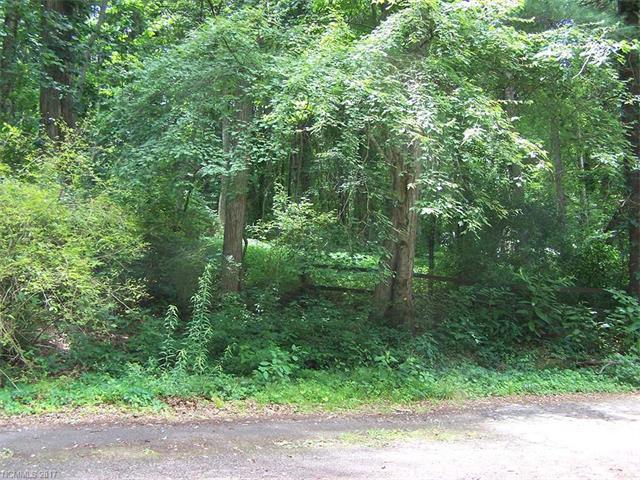 Lot 1 Dolan Road - Photo 1