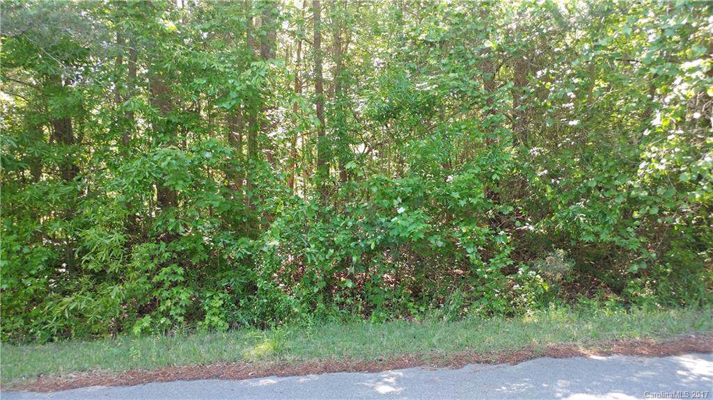 Lot 39 Pineville Estate - Photo 1