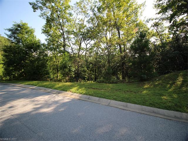Lot 91 Caddis Lane - Photo 1