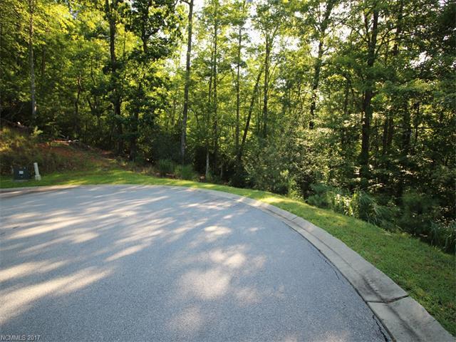 Lot 107 Mills River Way - Photo 1