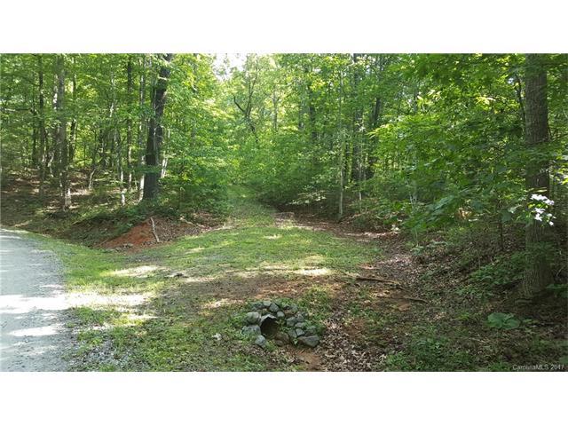 0 Cane Creek Mountain Road - Photo 1