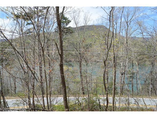 TBD Buffalo Shoals Road - Photo 1