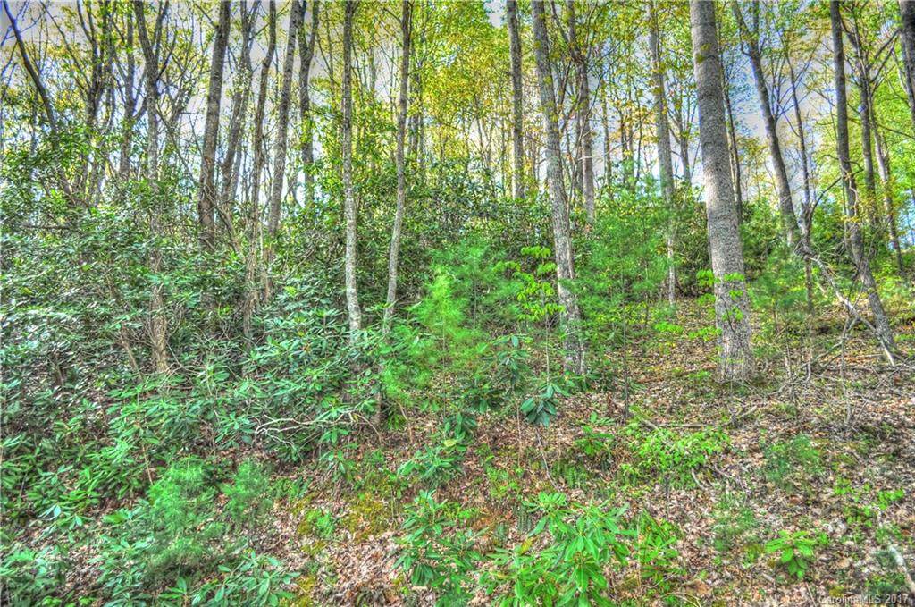 111 Deer Run - Photo 1