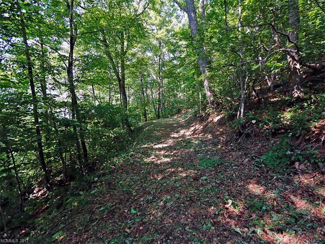 00 Awohali Trail - Photo 1