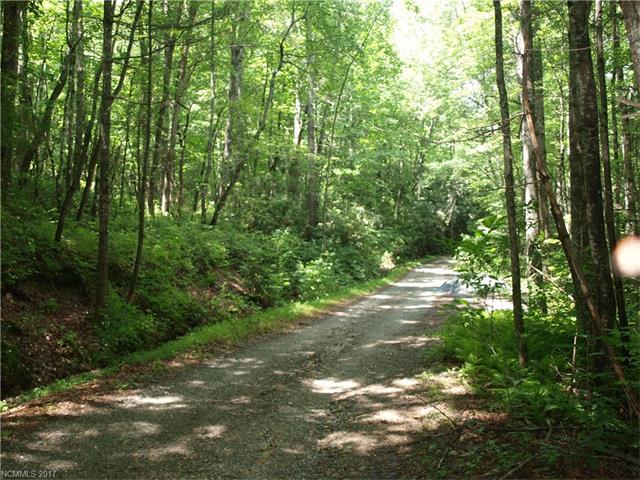 00 Tanasee Gap Road - Photo 1