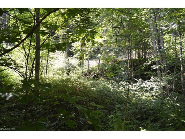 Lot 9 Creekside Drive - Photo 1