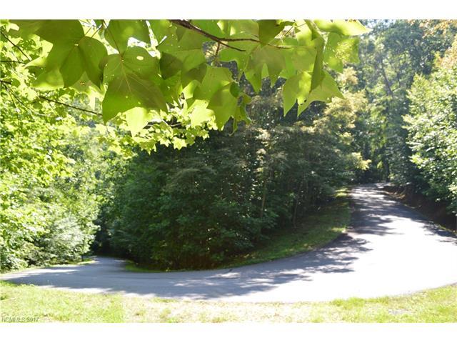 Lot 409 Multiflora Way - Photo 1