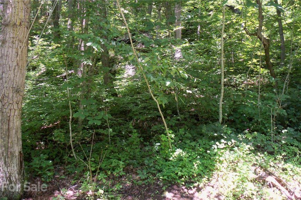 Lot 25 Countryside Drive - Photo 1