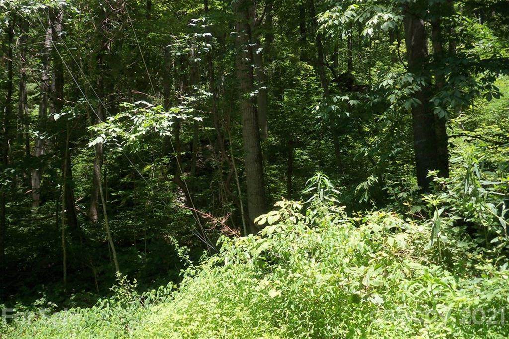 Lot 25 Countryside Drive - Photo 1