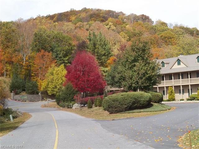 2541 Wolf Laurel Road - Photo 1