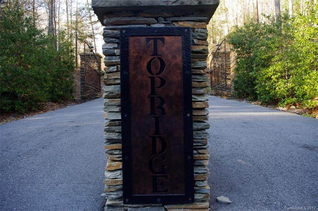 231 Top Ridge Lane - Photo 1
