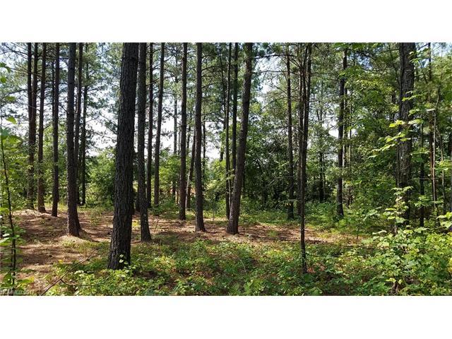 000 County Line Road - Photo 1