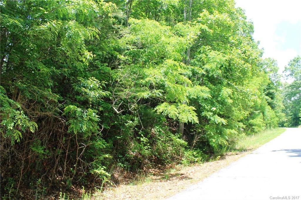 LOT #9 Rambling Trail - Photo 1