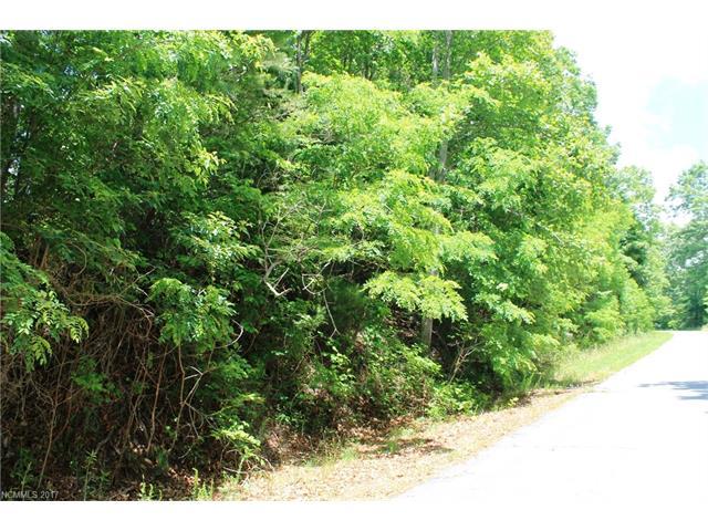LOT #9 Rambling Trail - Photo 1