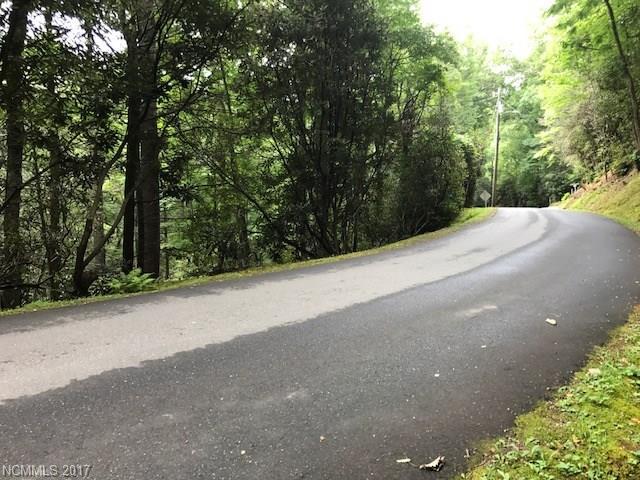 tbd Greybeard Trail - Photo 1